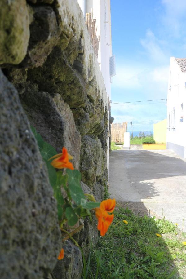 Hotel Casa Das Camarinhas Raal 542- Casa Partilhada Ginetes Exteriér fotografie